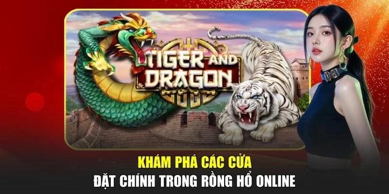 Khám phá các cửa đặt chính trong Rồng Hổ online